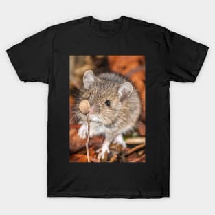 Wood Mouse on Woodland Floor Photo T-Shirt